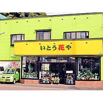 �X�܊O�ω摜