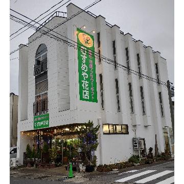 �X�܊O�ω摜