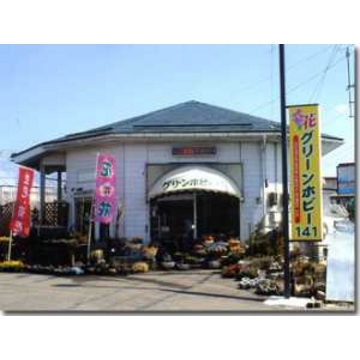 �X�܊O�ω摜