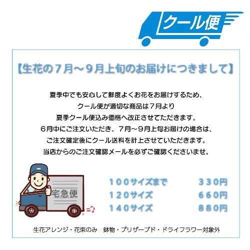 ���܂����h���C�t�����[�u�[�P3