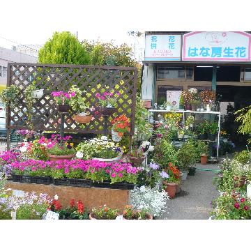 �X�܊O�ω摜