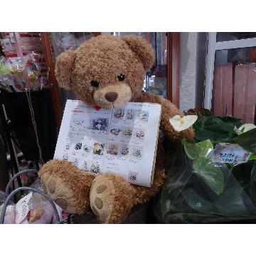 �X�^�b�t�摜