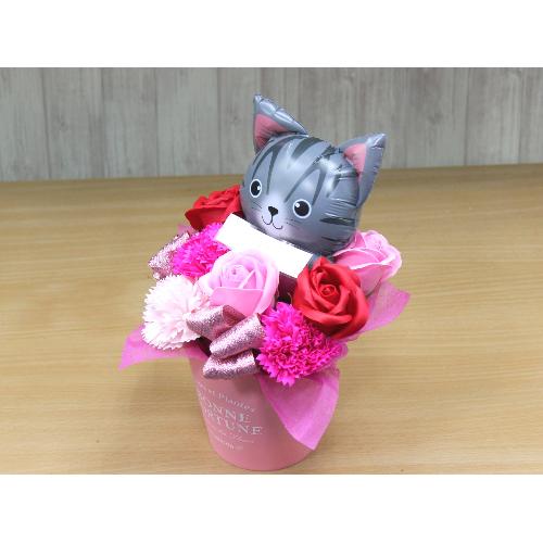 �T�o�V���L�̃o���[���ƃt���O�����X�t�����[RP3