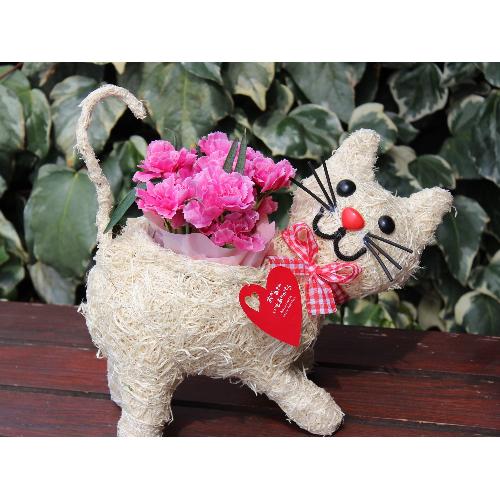 �q�L����� �J�[�l�s���N