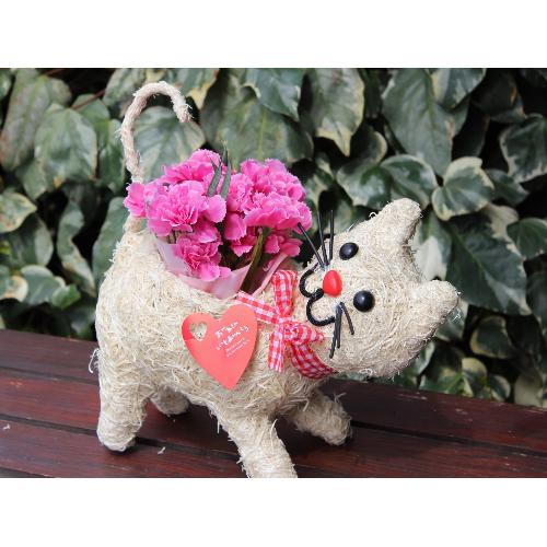 �q�L����� �J�[�l�s���N2