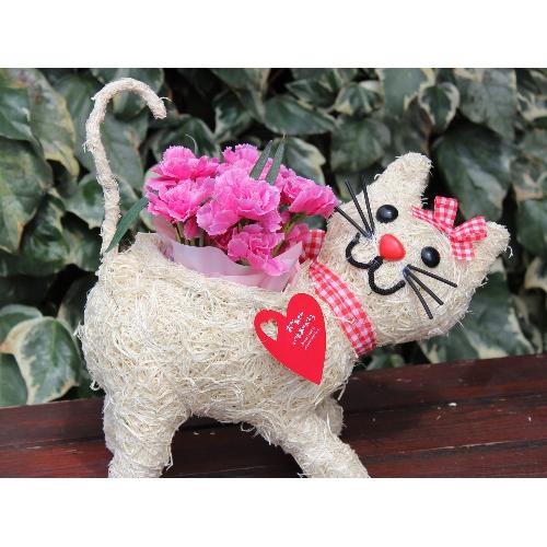 �q�L����� R �J�[�l �s���N2