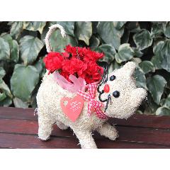  �q�L�����@�J�[�l ���b�h