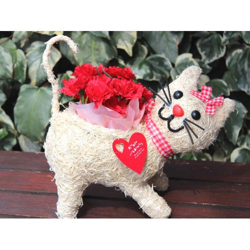 �q�L�����R �J�[�l���b�h2