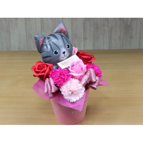 �T�o�V���L�̃o���[���ƃt���O�����X�t�����[RP3