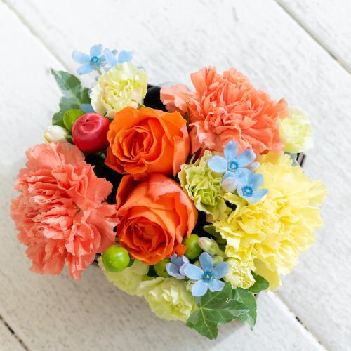 �o���[���A�����W�uThank you�n�[�g�v���u���E��Box�t�����[�I�����W4