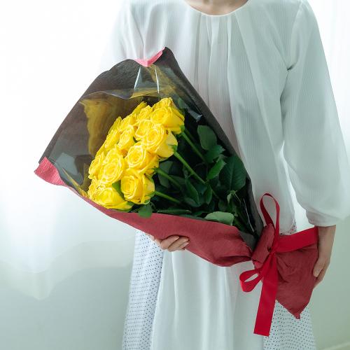 �Y�n�����o���ԑ��i18�{�j�C�G���[�n2