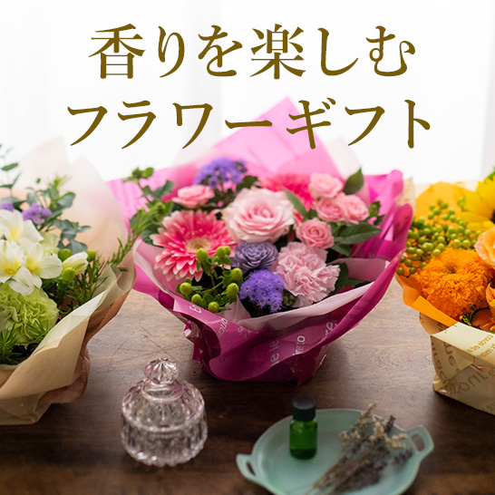 ������y���ރt�����[�M�t�g