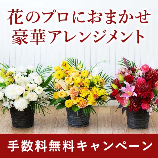おまかせセレガイド配達手数料無料キャンペーン