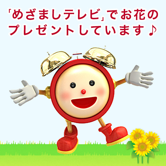 �t�W�e���r�u�߂��܂��e���r�v�ł��Љ������