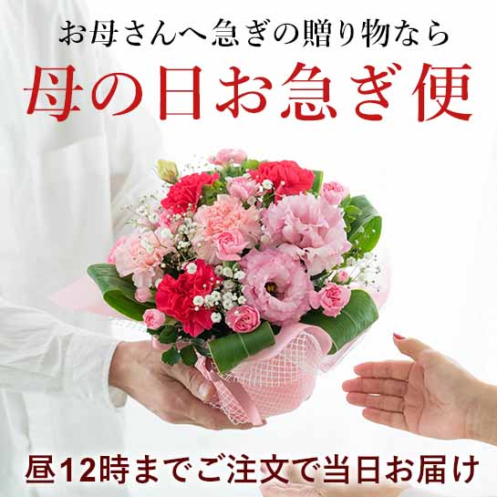 母の日お急ぎ便とは?