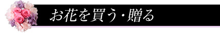 ���Ԃ𔃂��E����