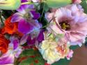 �t�H�g�M�������[�摜