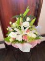 �t�H�g�M�������[�摜