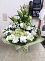 �t�H�g�M�������[�摜