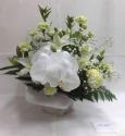 �t�H�g�M�������[�摜