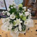 �t�H�g�M�������[�摜