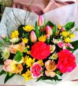 �t�H�g�M�������[�摜