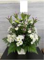 �t�H�g�M�������[�摜