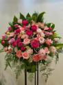 �t�H�g�M�������[�摜