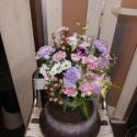 �t�H�g�M�������[�摜