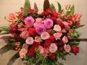 �t�H�g�M�������[�摜