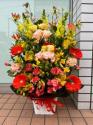 �t�H�g�M�������[�摜