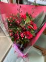 �t�H�g�M�������[�摜