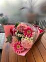 �t�H�g�M�������[�摜