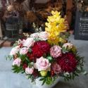 �t�H�g�M�������[�摜